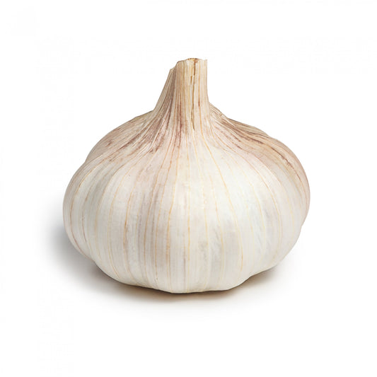 Garlic x 2