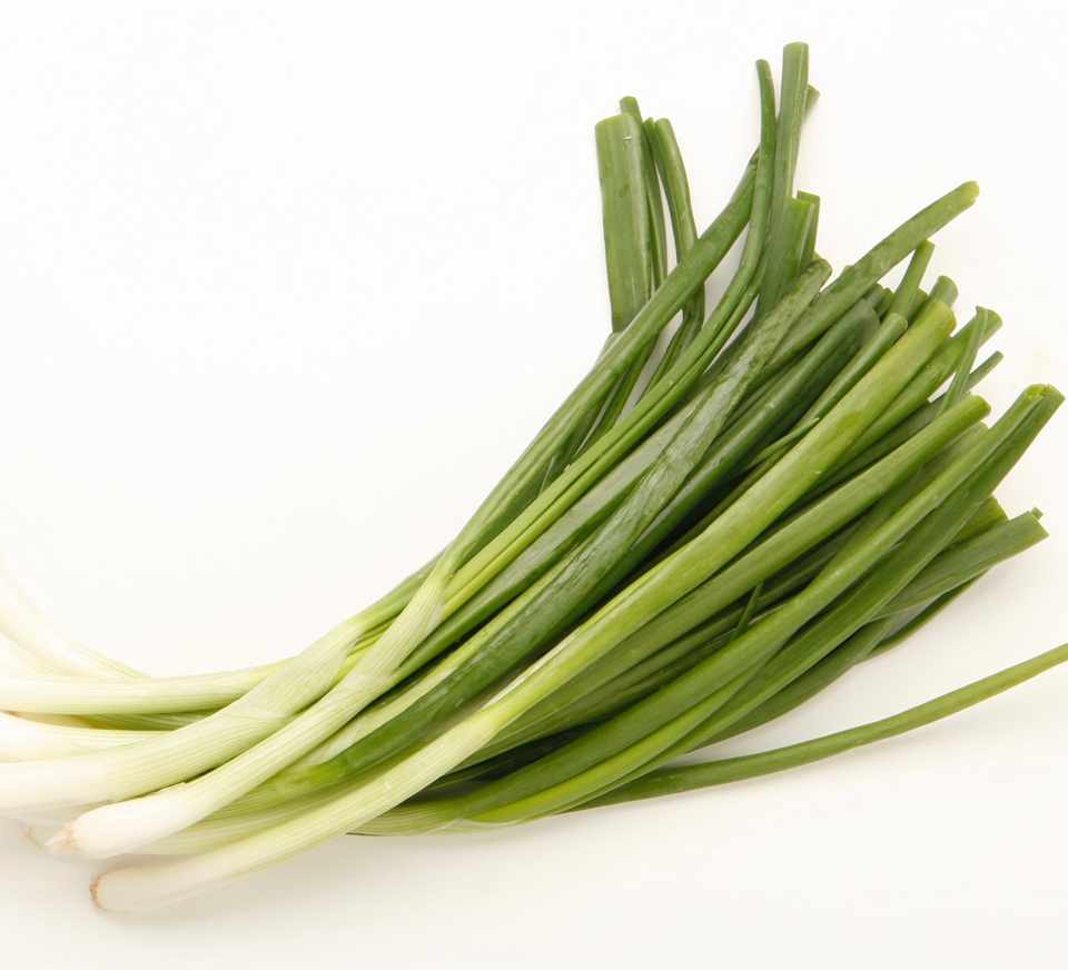 Trimmed Spring Onions